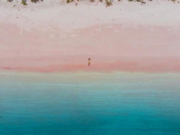 pexels-joe-fikar-799933673-19160388